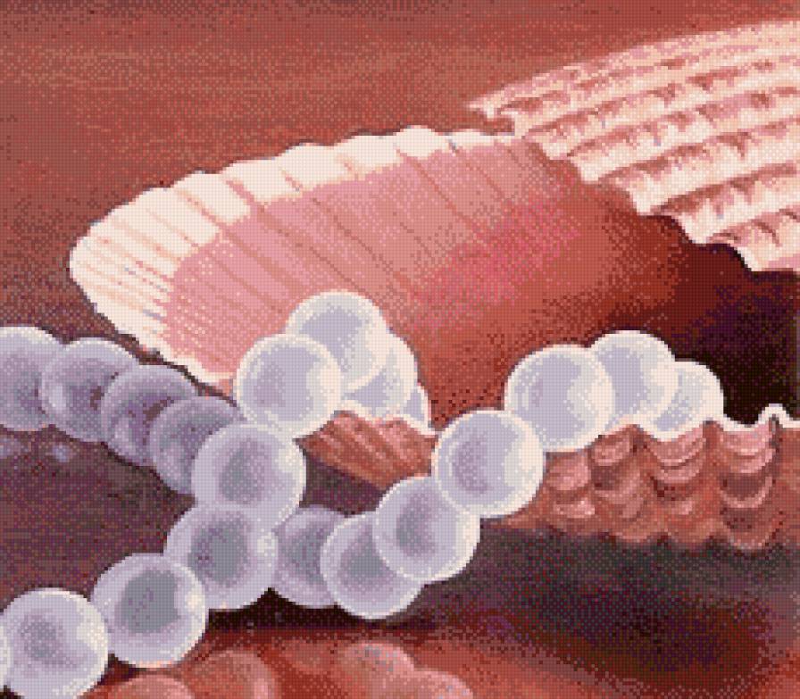 Жемчужины в ракушке (живопись Варвара Хармон) - ракушка, жемчуг, натюрморт, живопись - предпросмотр