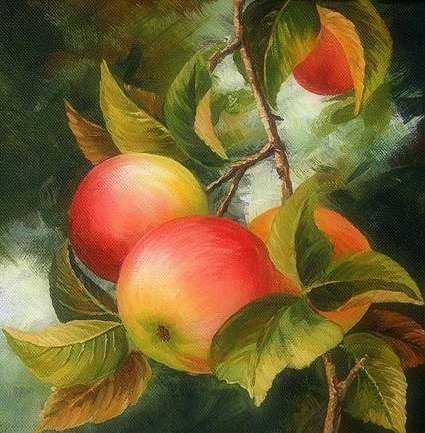 Яблоки на ветке (живопись Варвара Хармон) - яблоки, фрукты, живопись, осень - оригинал