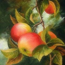 Яблоки на ветке (живопись Варвара Хармон)