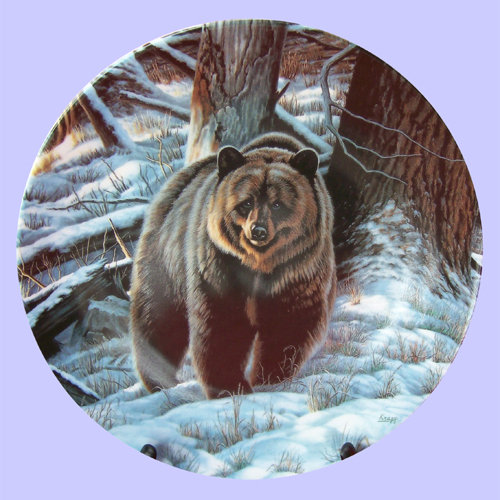 Бурый - медведи, зима, снег, пейзаж, животные - оригинал