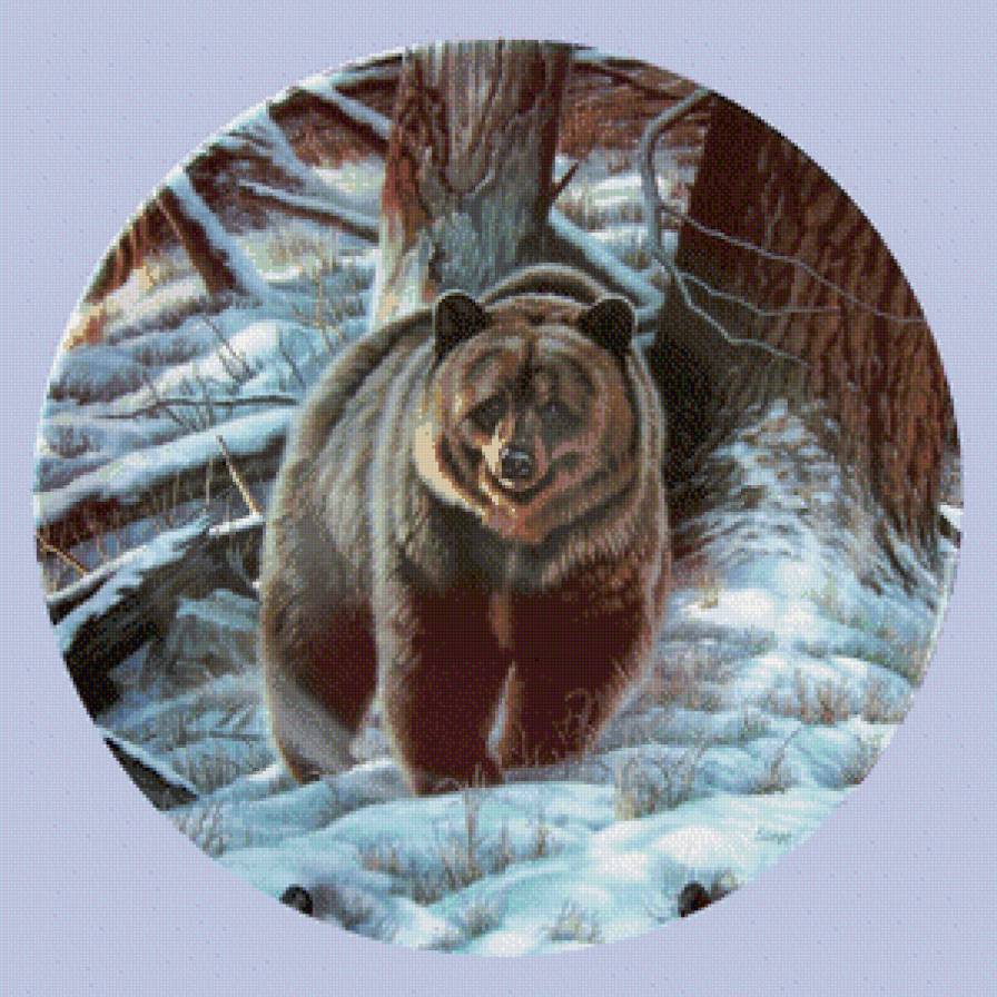 Бурый - снег, медведи, зима, пейзаж, животные - предпросмотр