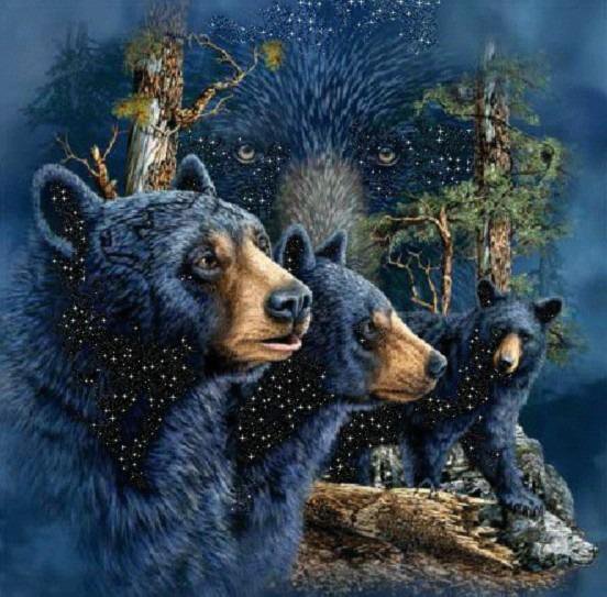 Гризли - медведи, животные - оригинал