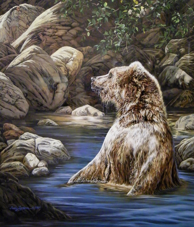 Купающийся мишка - животные, медведи, озеро - оригинал