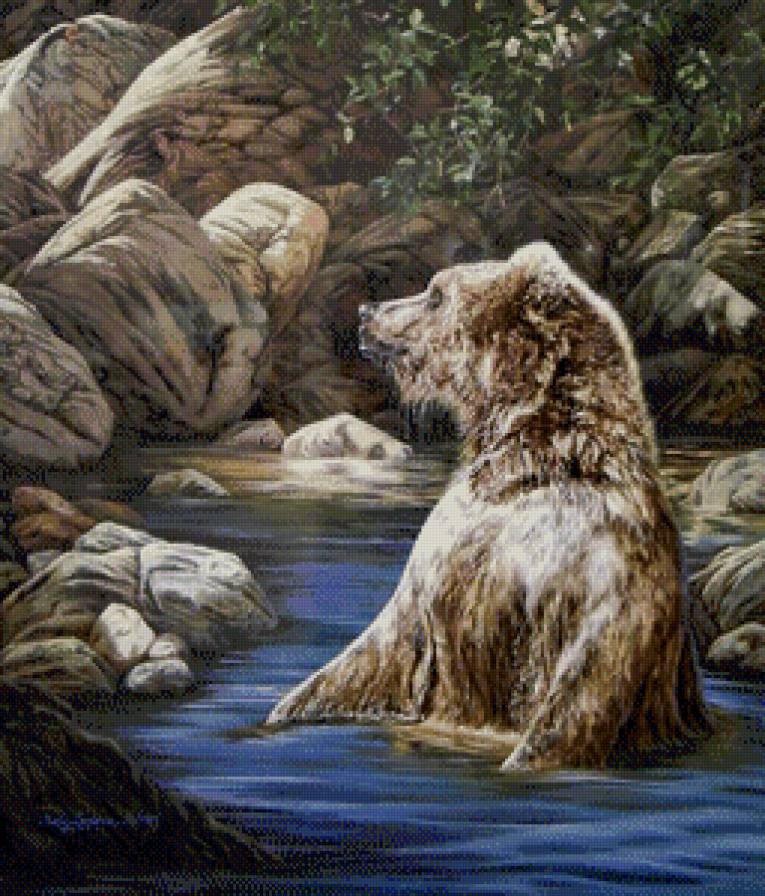 Купающийся мишка - животные, медведи, озеро - предпросмотр