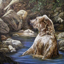 Купающийся мишка