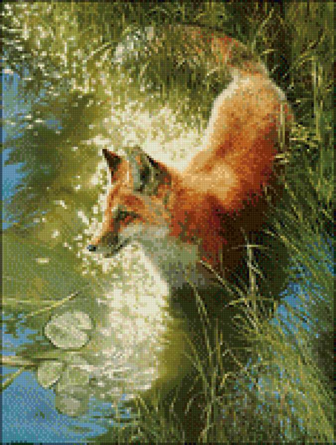 лисица - животные - предпросмотр