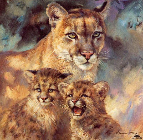 Любимая мама - животные, дикие кошки, кот, пума, звери, природа - оригинал