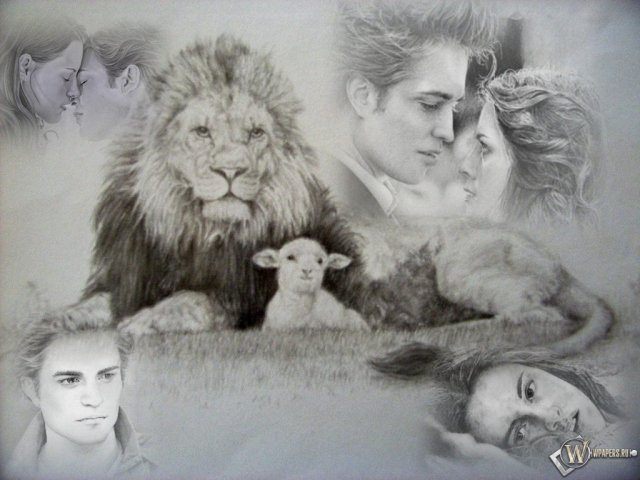 любовь - пейзаж, монохром, пара, львы, черно-белое, картина, живопись - оригинал