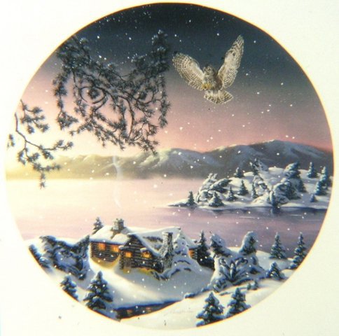 Иллюзия - сова, иллюзия, искусство, живопись, природа, картина - оригинал