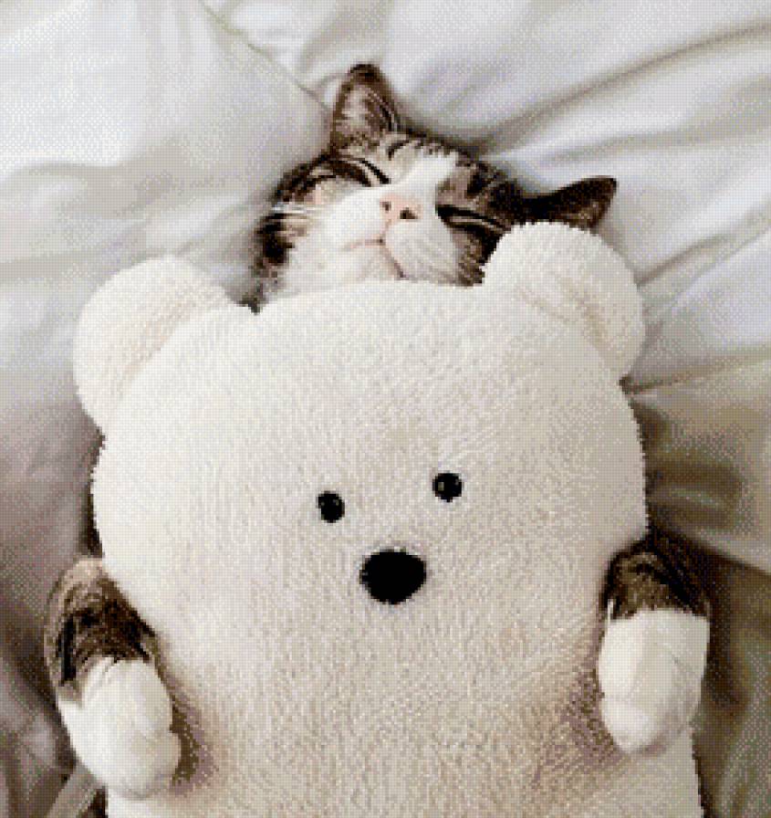 картина для спальни - игрушка, постель, кошка, сон, кот, подушка - предпросмотр