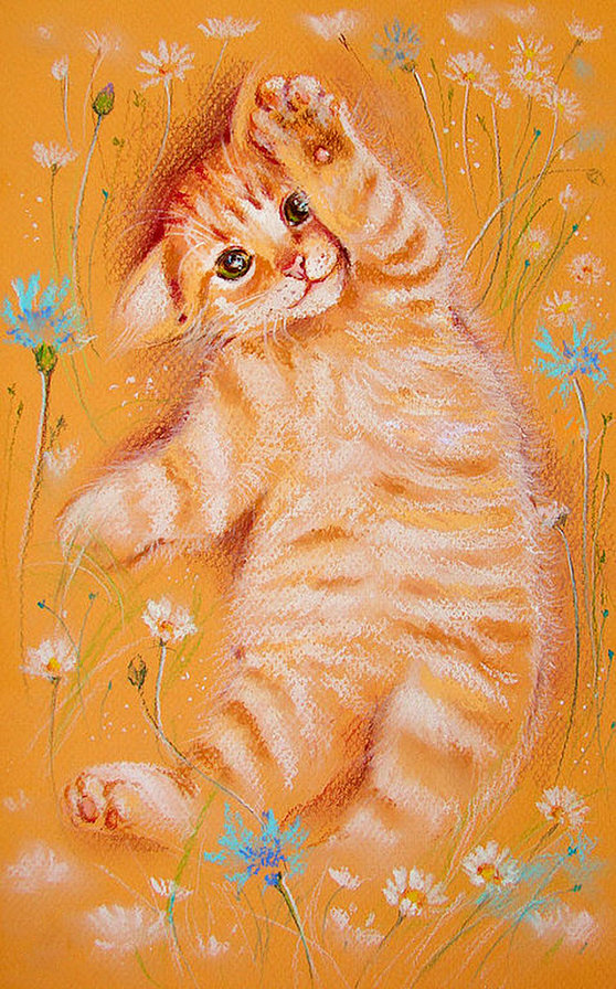 рыжее очарование - цветы, кот, лапушка, котенок, василек, ромашка, милашка - оригинал