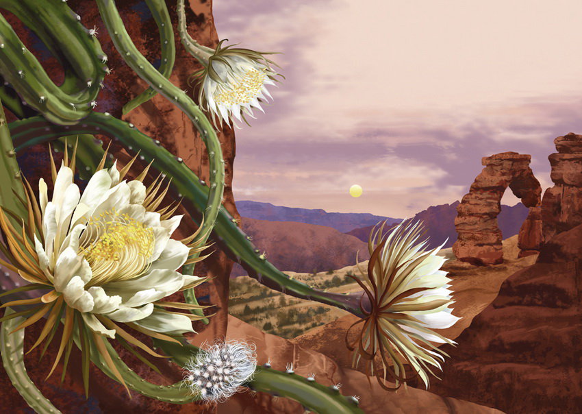 Цветы - цветы - оригинал