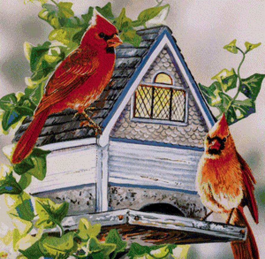 Серия "Птичий домик" - кардиналы, птицы, домик - предпросмотр