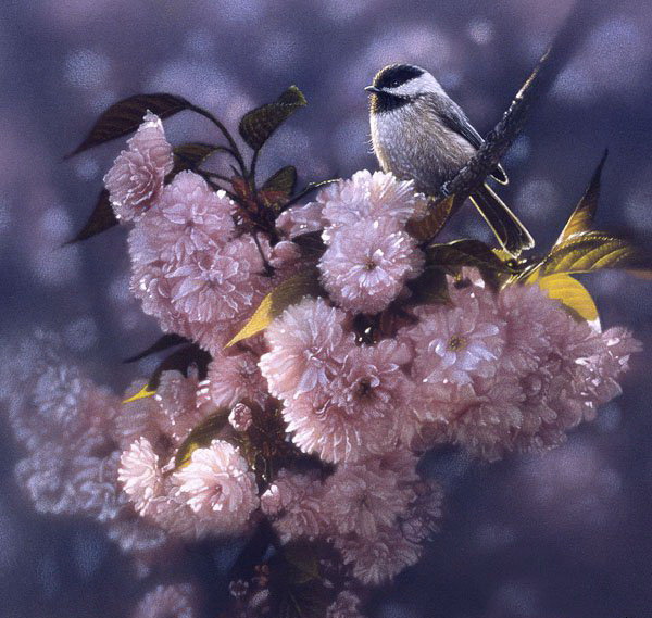 Птичка - птицы - оригинал