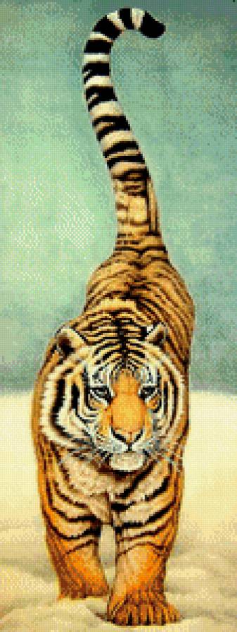 большая киска - тигр, живопись, хищник - предпросмотр