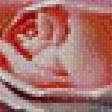 Предпросмотр схемы вышивки «роза» (№515407)