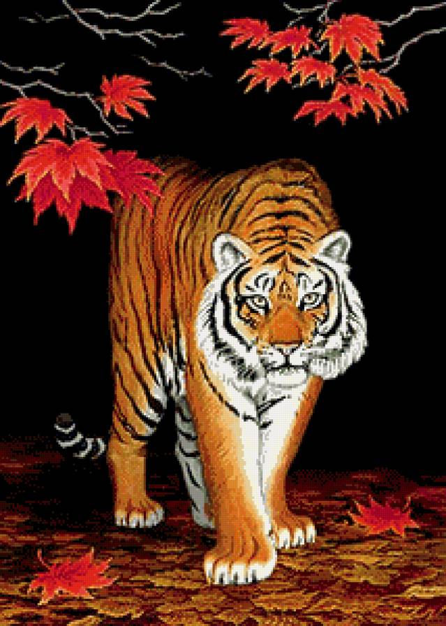 тигр - клен, листья, взгляд, живопись, хищник, осень - предпросмотр