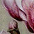 Предпросмотр схемы вышивки «ветка камелии» (№515437)