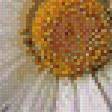 Предпросмотр схемы вышивки «Ромашки» (№515497)