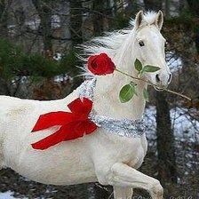 Оригинал схемы вышивки «Лошадь с цветком» (№515498)