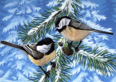 №515582 - оригинал