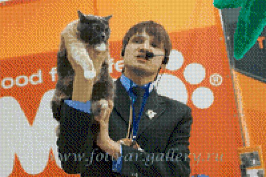 судья - кошка, мужчина - предпросмотр