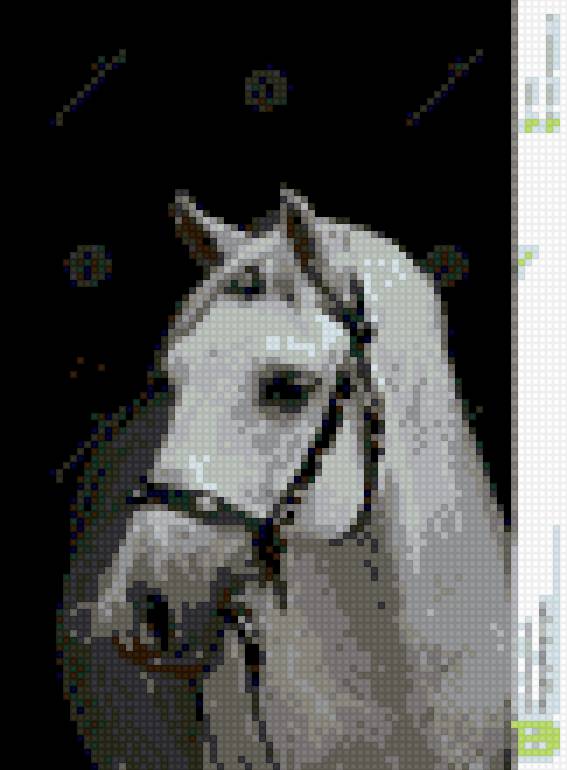 белая лошадь - предпросмотр