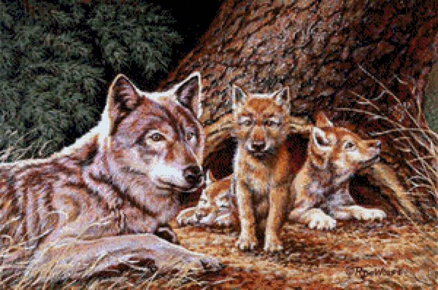 Любимая мама - волки, волчья верность, волк, семья, любовь - предпросмотр