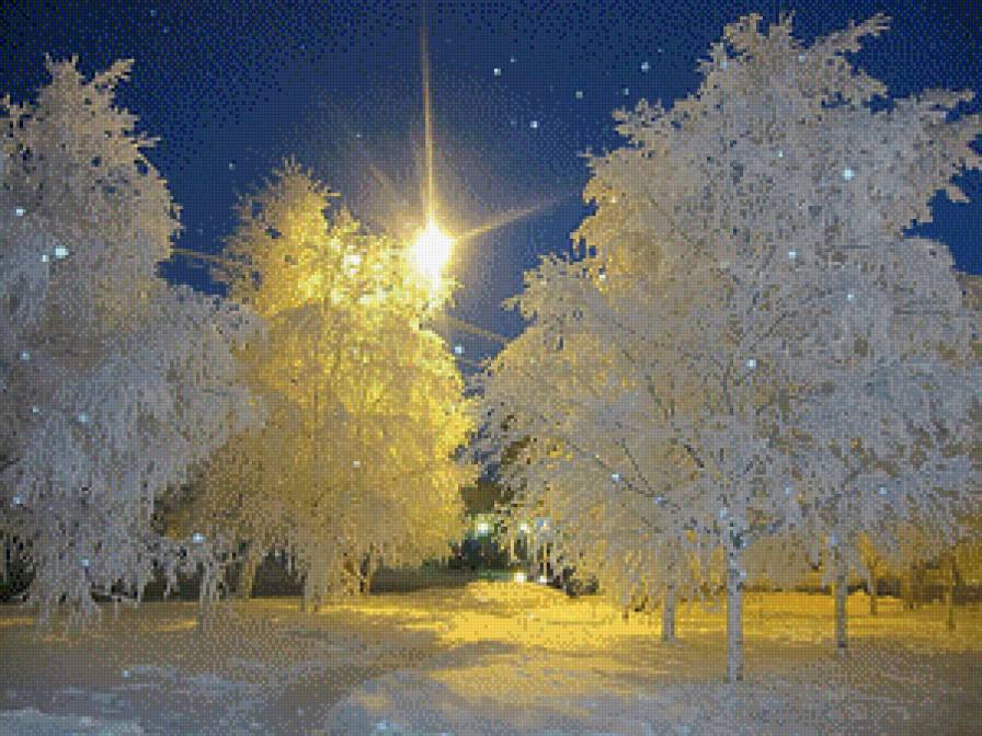 Зима - деревья, зима, снег - предпросмотр