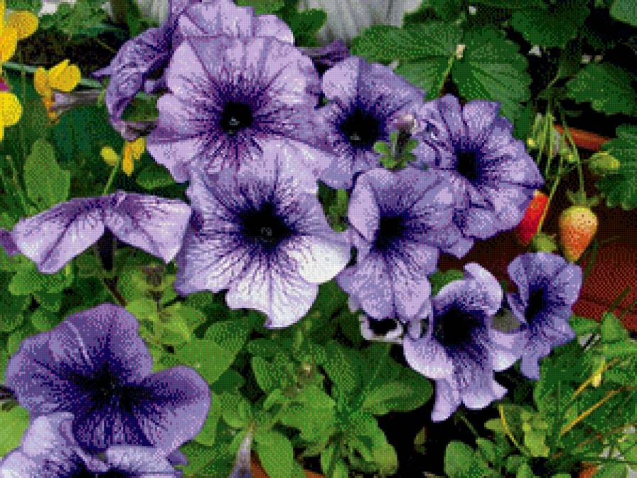 балкон - предпросмотр