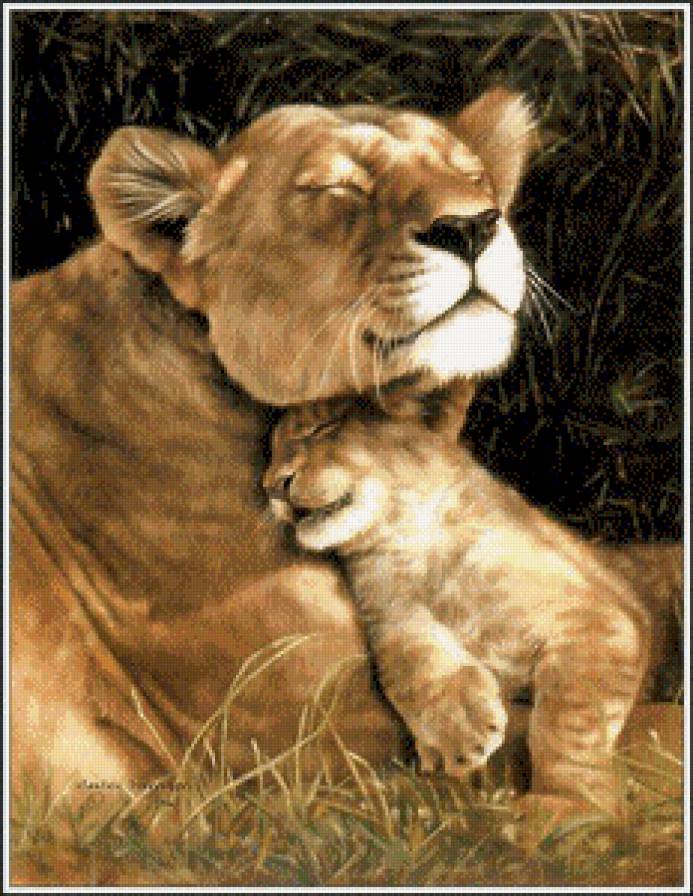 Нежность - львы, животные, природа, звери, кот, дикие кошки - предпросмотр
