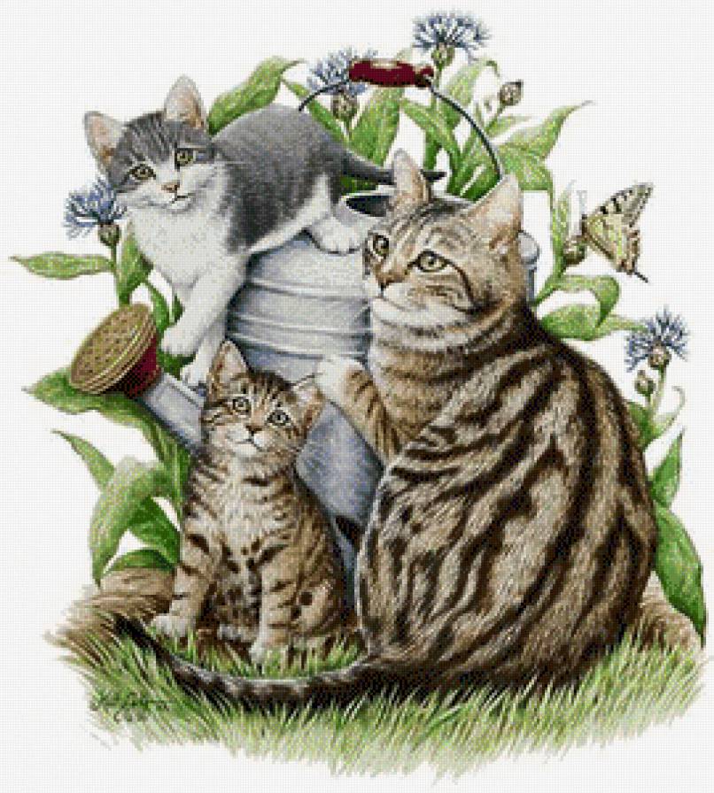 Мама-кошка - дом, природа, животные, котенок, кот, звери, кошки - предпросмотр
