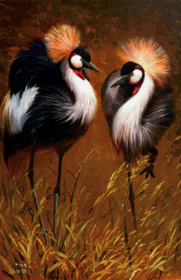 венценосные журавли - природа, пара птиц, птицы, журавли, река, нежность, озеро - предпросмотр