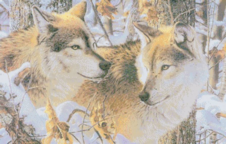 Пара хищников - зима, животные, пара, волки, снег, лес - предпросмотр