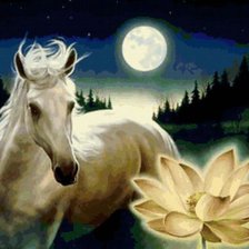Схема вышивки «белый конь и белый лотос»