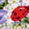 Предпросмотр схемы вышивки «божьи коровки» (№516190)