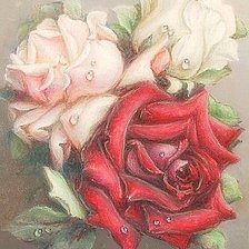 Розы в росе