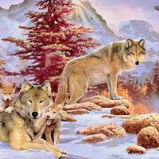 Волчье семейство