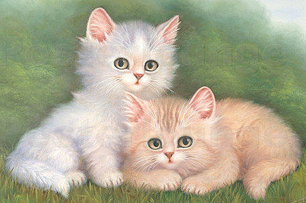 Котятки (маленькая) - животные, сказка, деткам, кошки, котята, детское - оригинал