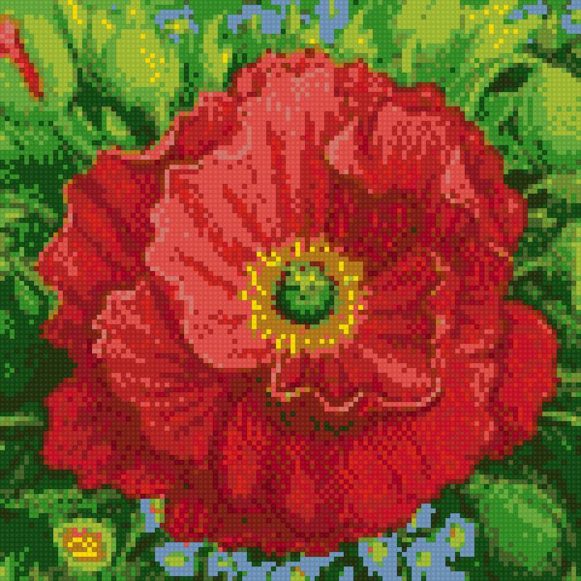 маки - подушка, маки, цветы - предпросмотр