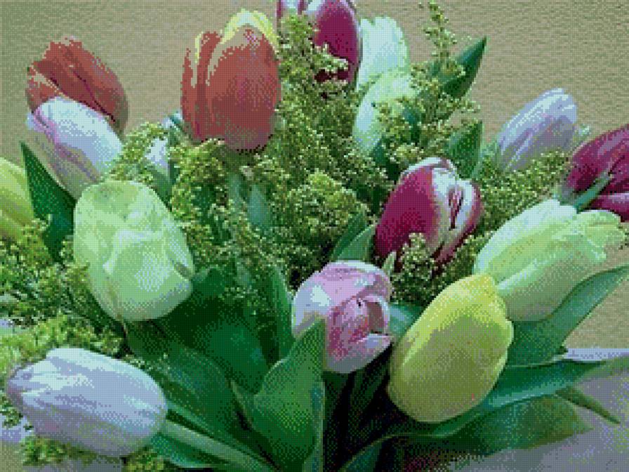 Тюльпаны - предпросмотр