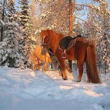 Схема вышивки «Огненная лошадь»