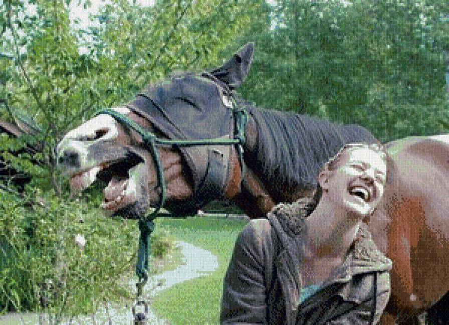 Как ржали девушка и лошадь - предпросмотр