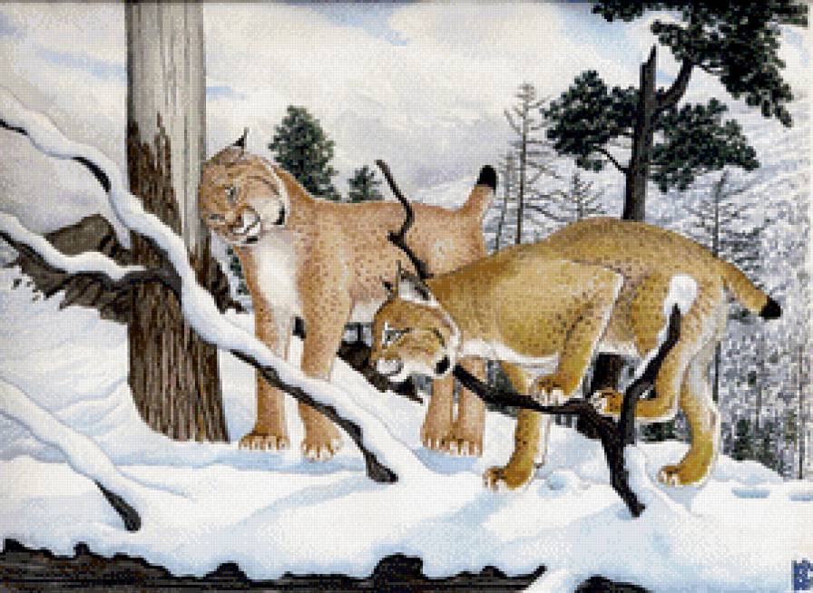 Две Рыси по картине Николая Фомина - животный мир - предпросмотр