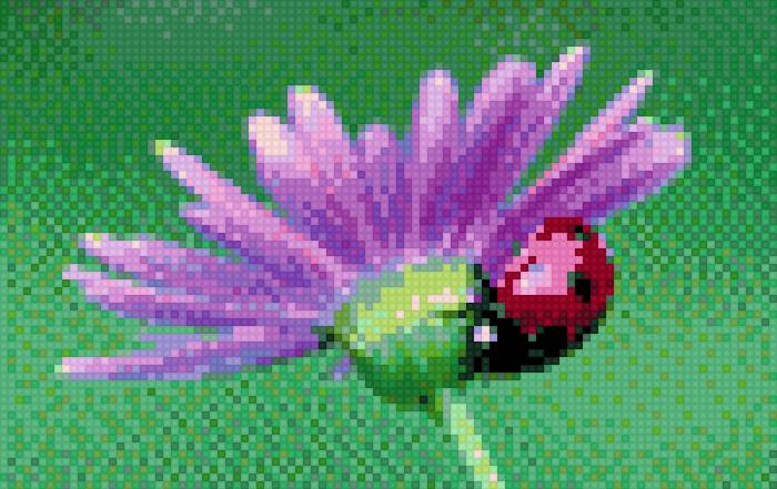 гербера - цветы - предпросмотр