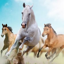 Схема вышивки «Лошади»