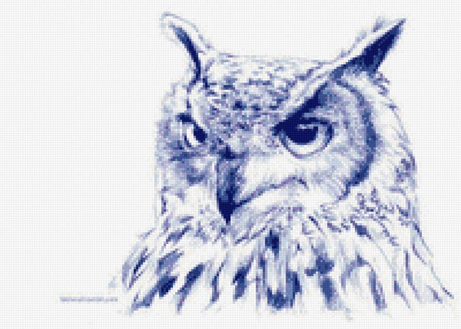 №517100 - сова, птицы - предпросмотр