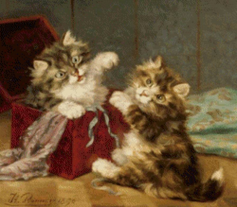 котята в коробке - котенок, цветы, кошка, коты, кот, за окном - предпросмотр