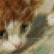 Предпросмотр схемы вышивки «котята с веером» (№517109)