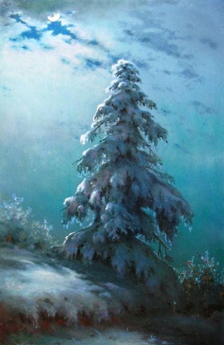 заснеженная ель - лес, зима, елка, рождество, снег, дерево, новый год - оригинал